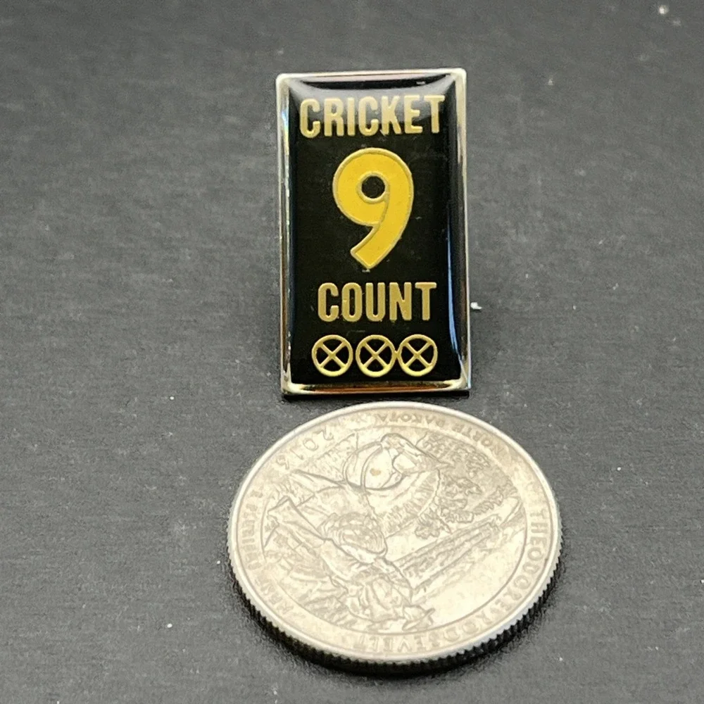 N/A pin has